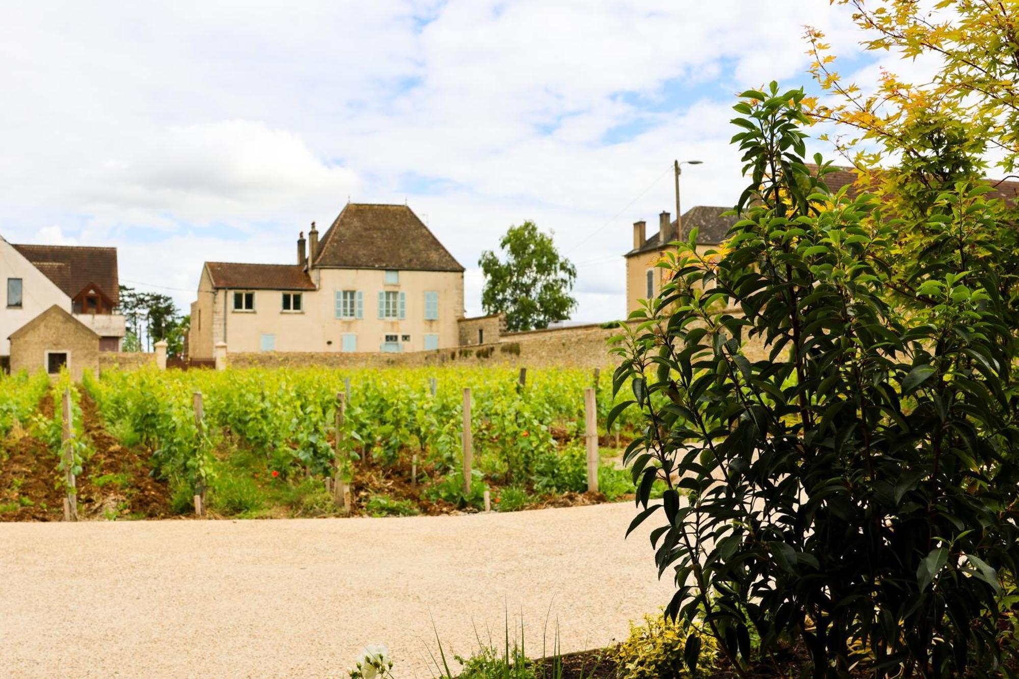 Hotel Particulier Adult Only Les Reveries Du Clos Spa Degustation Et Diner Sur Reservation Pommard Eksteriør billede